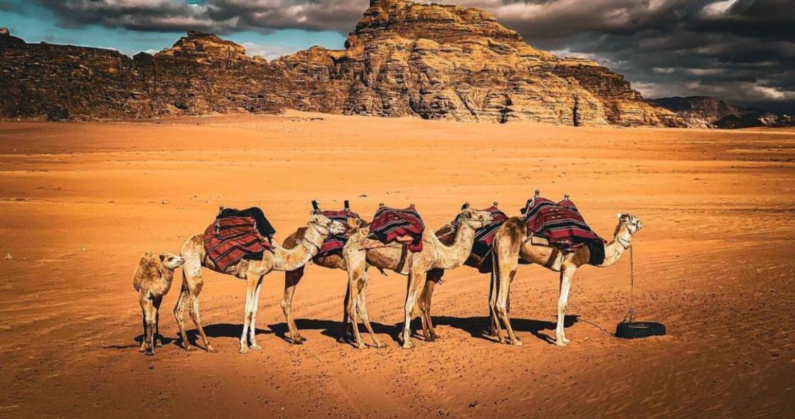 Night Magic Camp Hotel Wadi Rum Ngoại thất bức ảnh